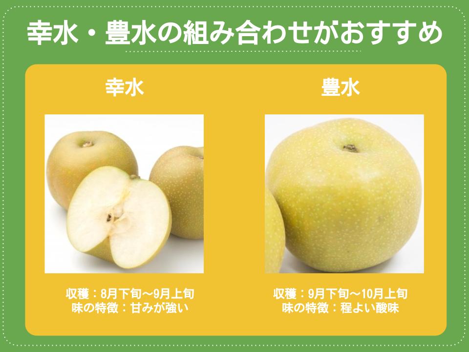 梨の育て方：受粉樹